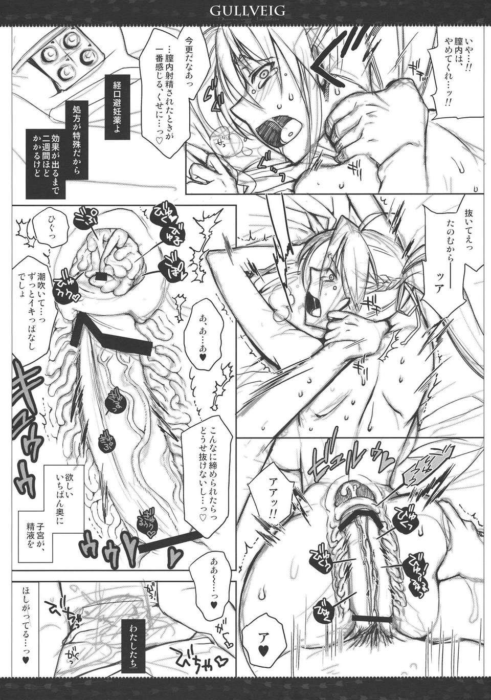 (C80) (同人誌) [VM500] Gullveig プレビュー版 (魔法少女リリカルなのは) 16/18 