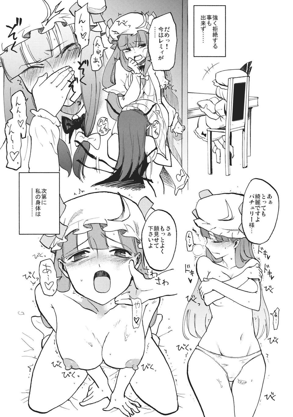 (C80) (同人誌) [白ネギ屋] ワイセツ図書館 (東方) 26/28 