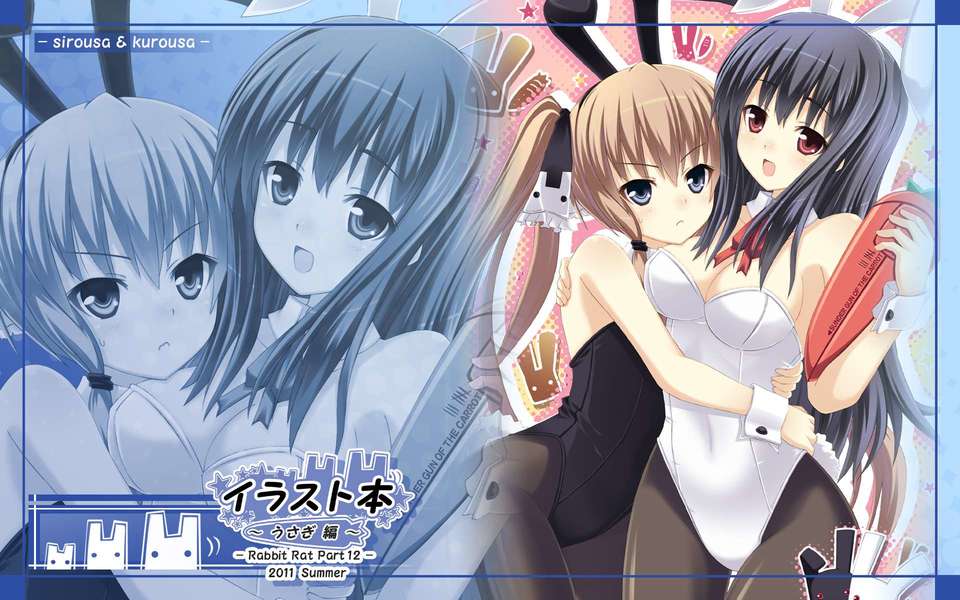 (C80) (同人CG集) [うさぎねずみ] イラスト本うさぎ編 データCD (JPG) 39/76 