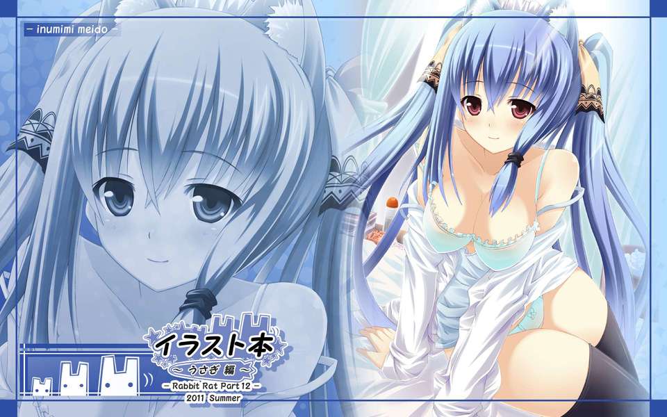 (C80) (同人CG集) [うさぎねずみ] イラスト本うさぎ編 データCD (JPG) 42/76 