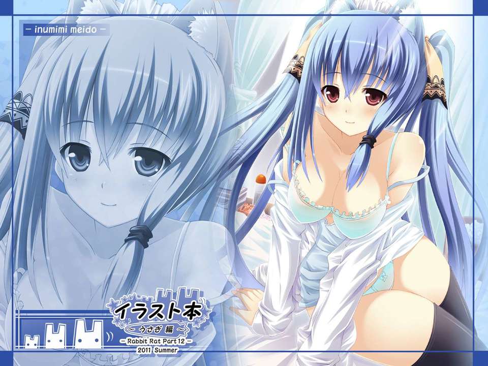 (C80) (同人CG集) [うさぎねずみ] イラスト本うさぎ編 データCD (JPG) 43/76 