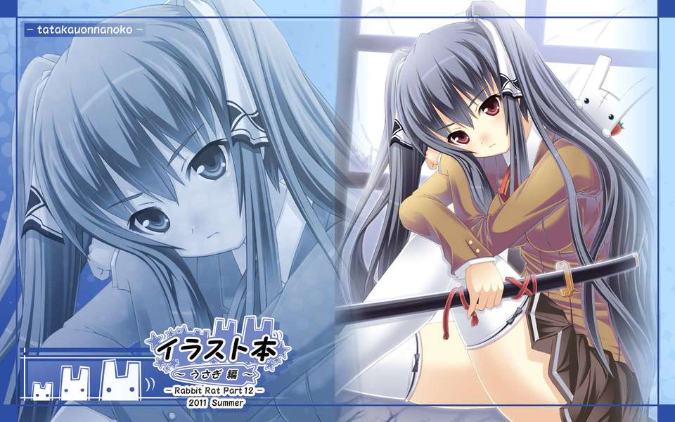 (C80) (同人CG集) [うさぎねずみ] イラスト本うさぎ編 データCD (JPG) 45/76 
