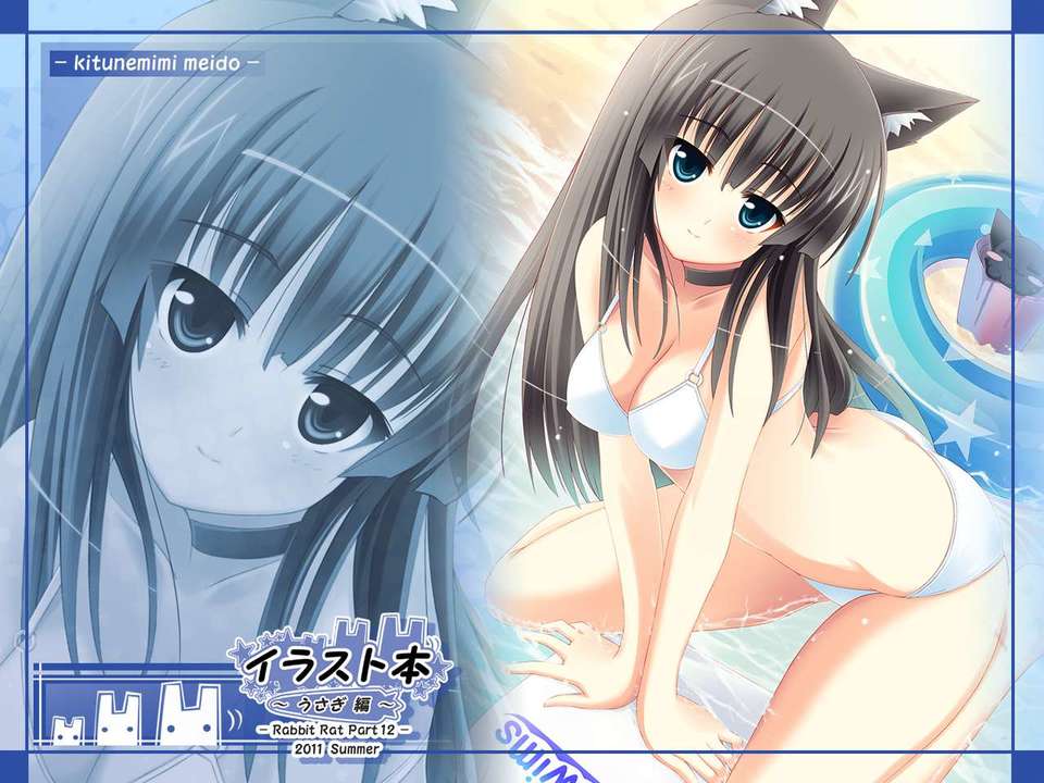 (C80) (同人CG集) [うさぎねずみ] イラスト本うさぎ編 データCD (JPG) 61/76 