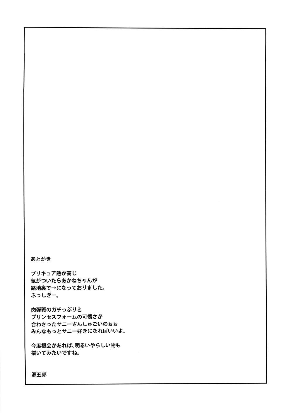 (C82)(同人誌) [遙夢社 (源五郎)] 日蝕 (スマイルプリキュア!) 16/18 