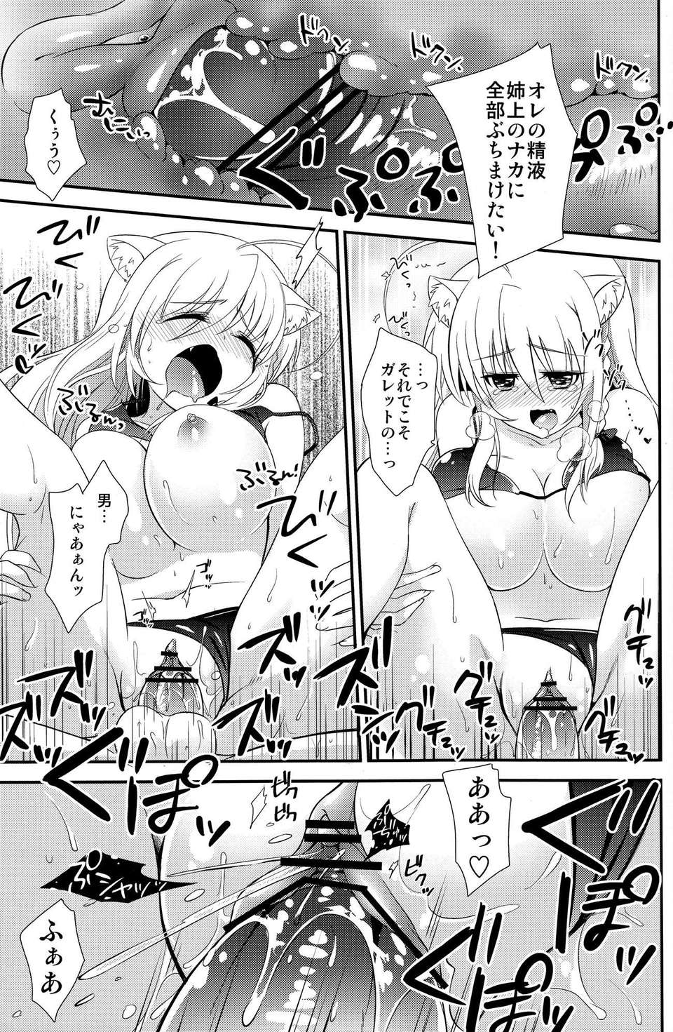 (C82) (同人誌) [たまふわ (沖の鬆城)] 姉上にされほうだい (DOG DAYS) 17/22 