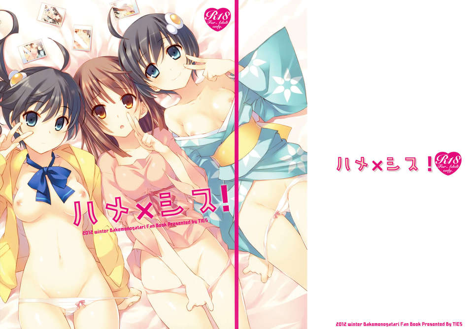 [Genesis漢化](C83) (同人誌) [TIES (タケイオーキ)] ハメ×シス (化物語) End