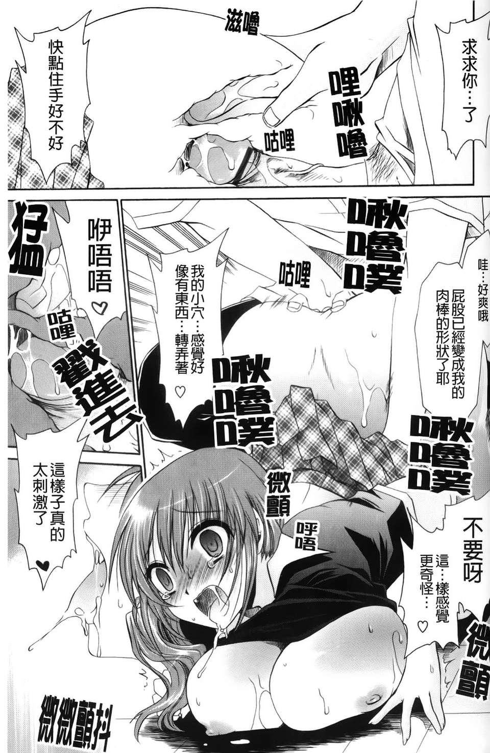 [東雲龍]ニンギョヒメ 155/227 