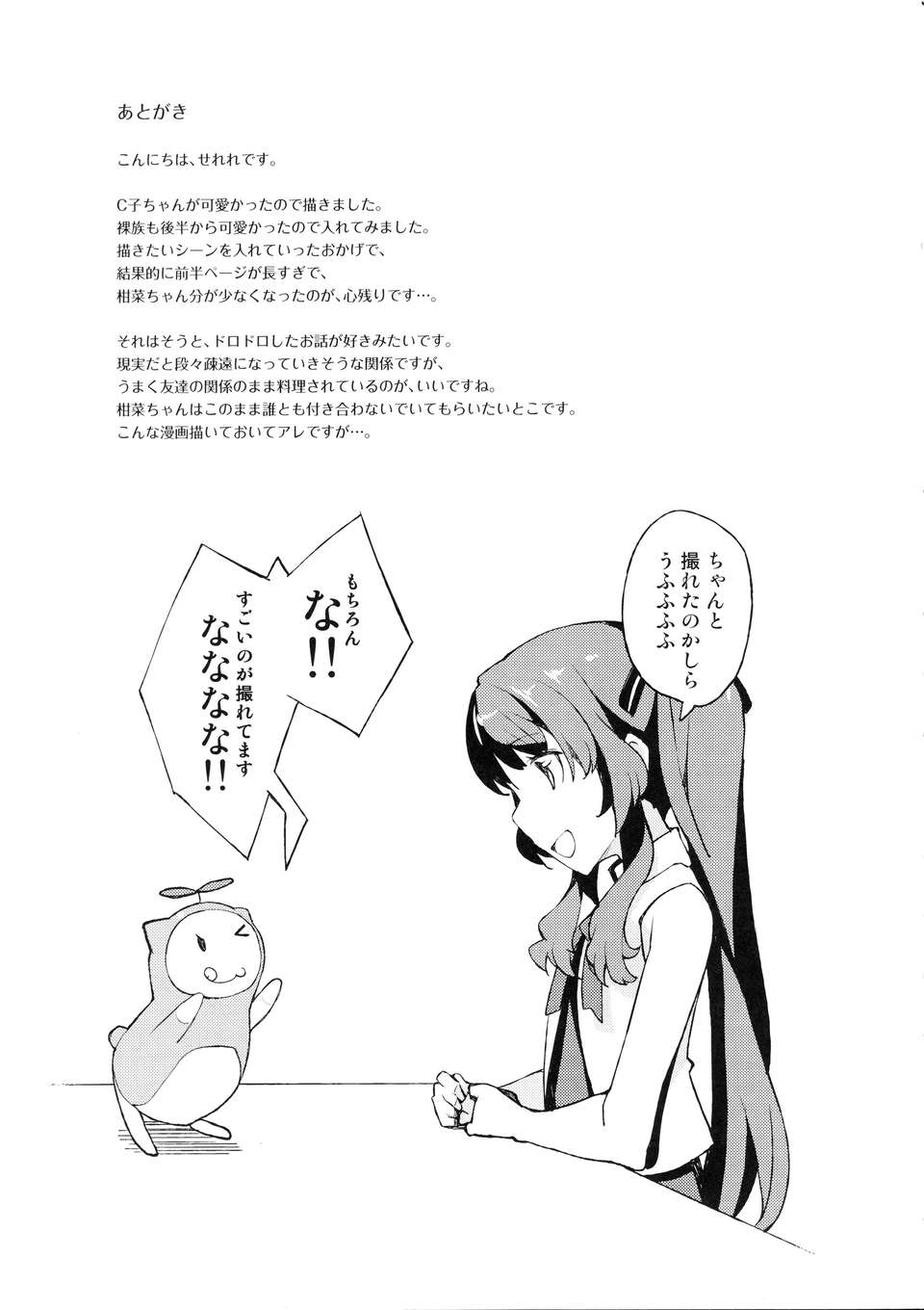 【魂+臉腫同人部】(COMIC1☆06) [はんなま (せれれ)] ななな…なにごと～!! (あの夏で待ってる) 19/21 