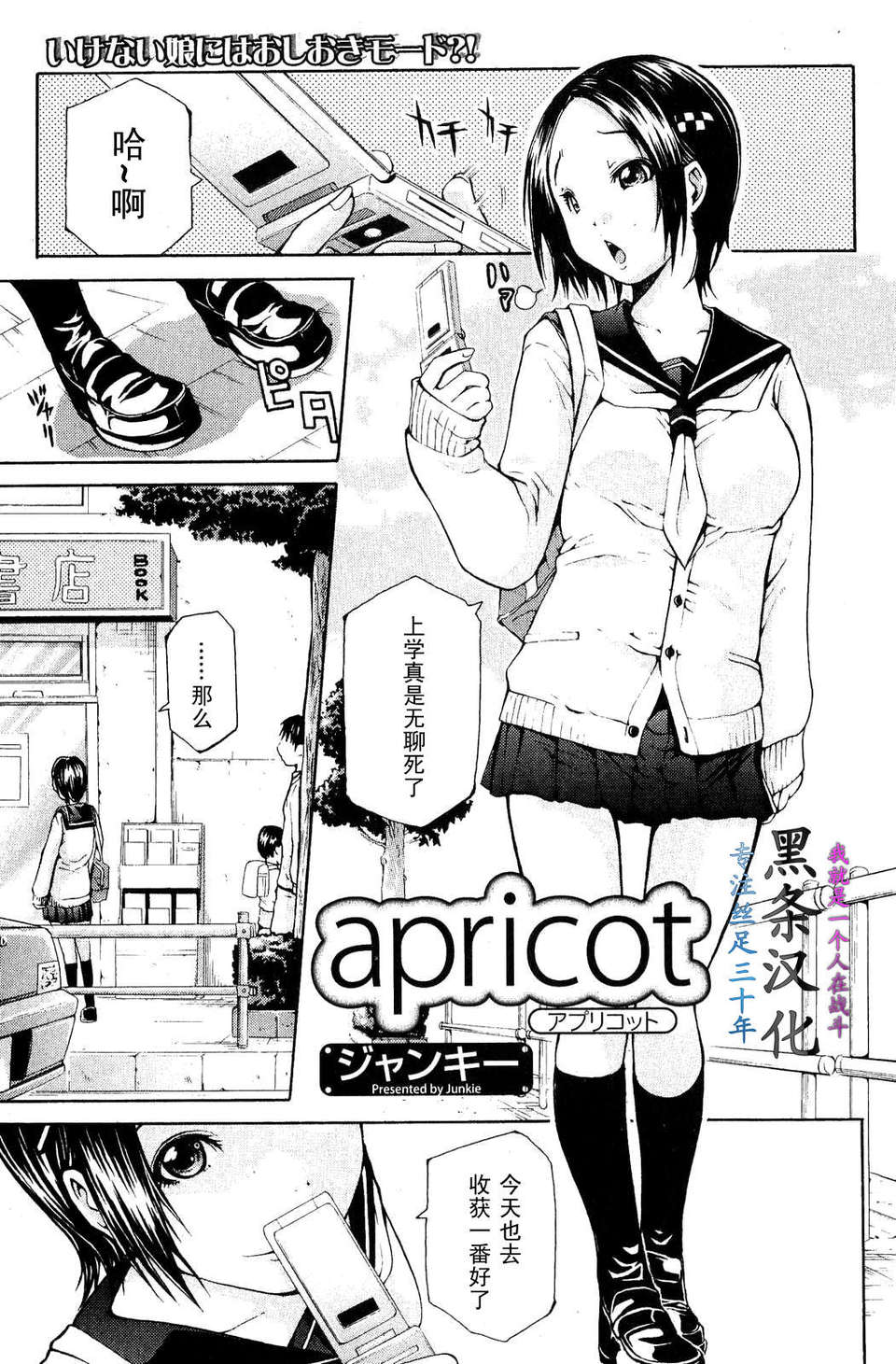 [ジャンキー]apricot アプリコット 1/16 