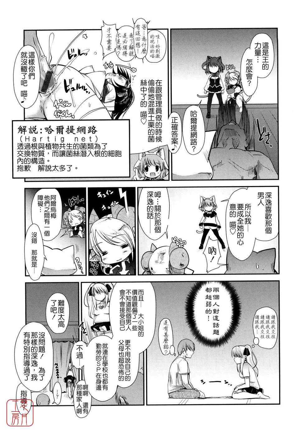 [にびなも凸面體] ネコキノと雨の町 97/198 