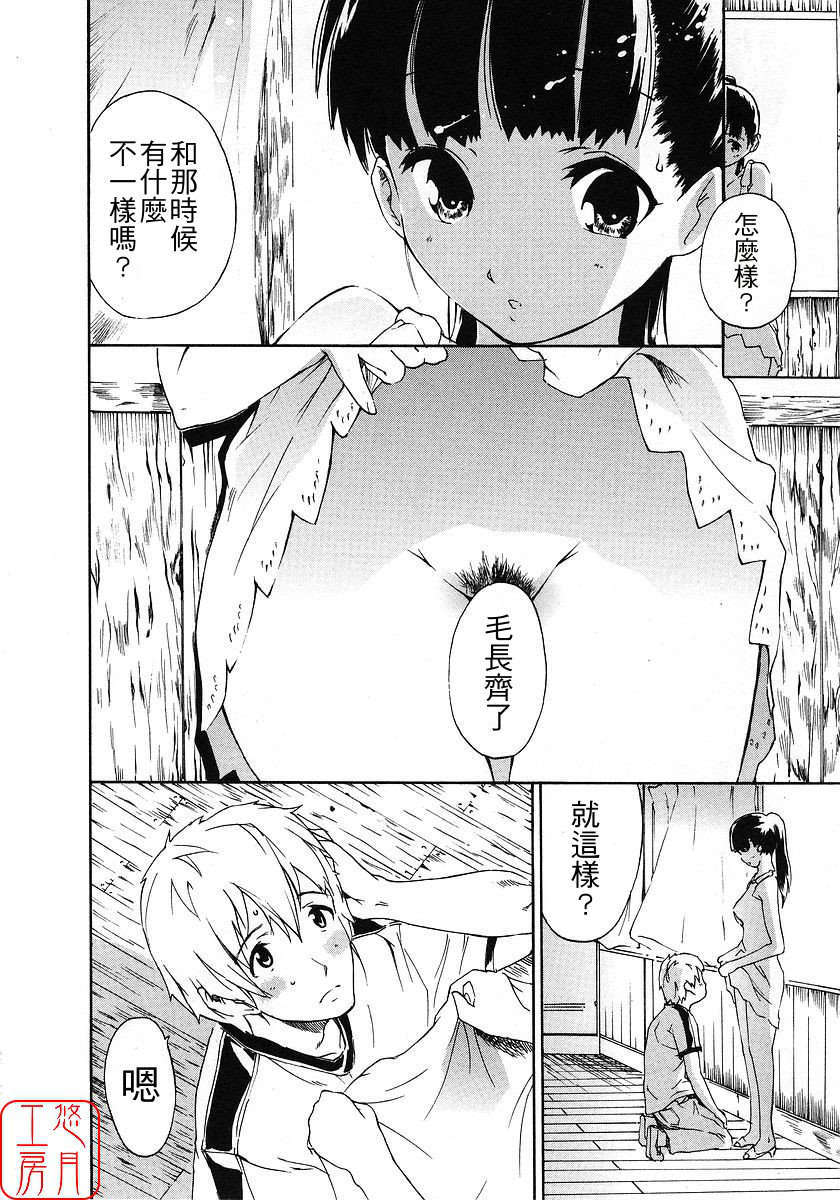 [ナイロン] ナイロン100% 132/209 