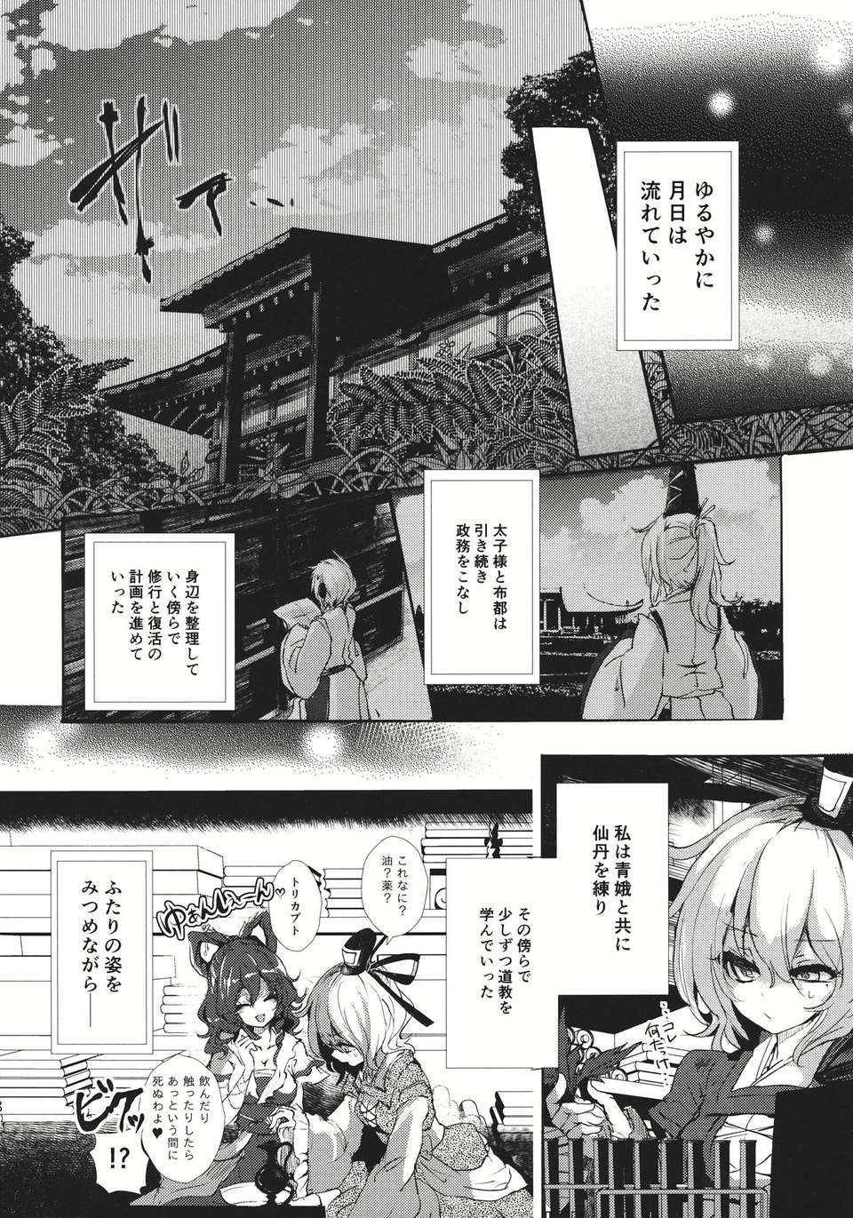 (C83) (同人誌) [Carcharias!] 蘇我屠自古は語らない 奇の章 (東方) (非エロ) 20/46 