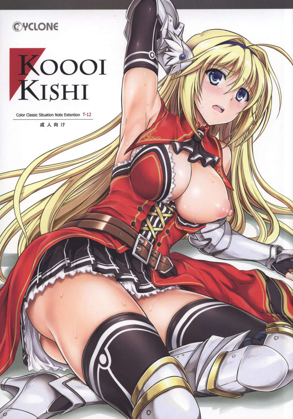 (C83) (同人誌) [サイクロン (和泉 , れいぜい)] T-12 Koooi Kishi (パソコンゲームよろず) 1/29 