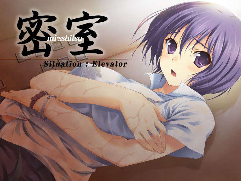 (C70) (同人ゲームCG) [無限軌道] 密室 -Situation Elevator- End