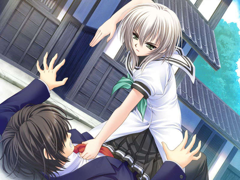 (18禁ゲームCG) [070323] ちょこす～メイドさんのご奉仕 10534/11327 