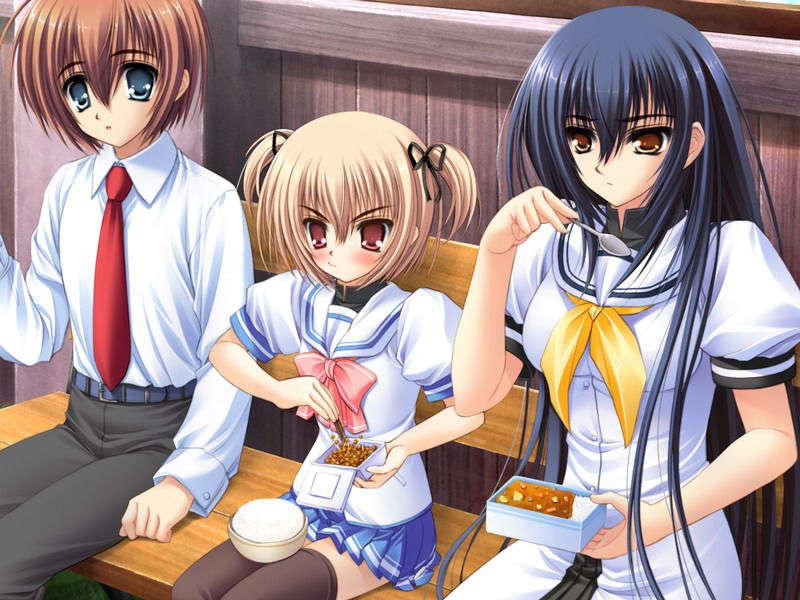 (18禁ゲームCG) [070323] ちょこす～メイドさんのご奉仕 10626/11327 