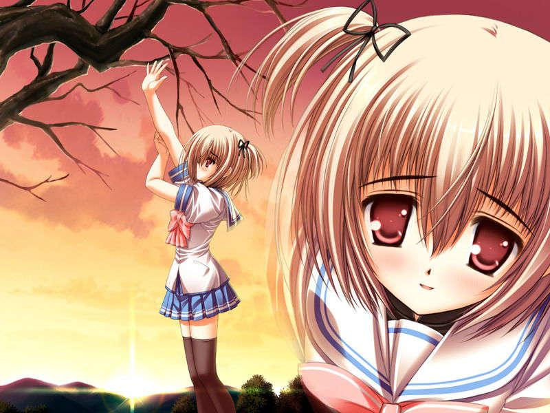 (18禁ゲームCG) [070323] ちょこす～メイドさんのご奉仕 10629/11327 