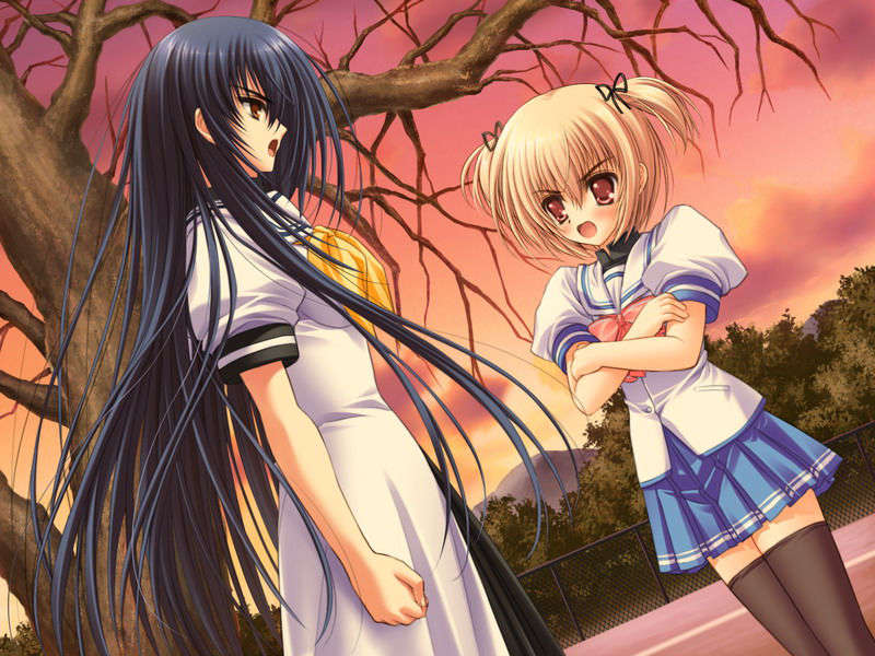 (18禁ゲームCG) [070323] ちょこす～メイドさんのご奉仕 10637/11327 