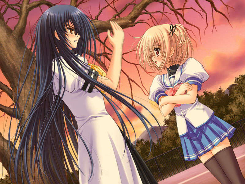 (18禁ゲームCG) [070323] ちょこす～メイドさんのご奉仕 10638/11327 