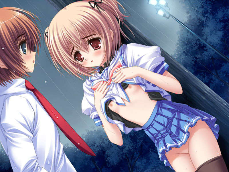 (18禁ゲームCG) [070323] ちょこす～メイドさんのご奉仕 10643/11327 