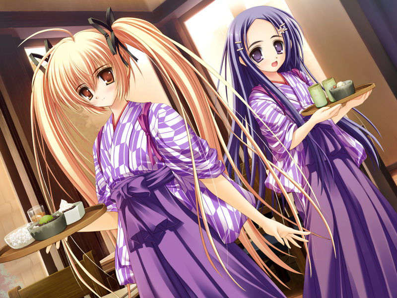 (18禁ゲームCG) [070323] ちょこす～メイドさんのご奉仕 10716/11327 