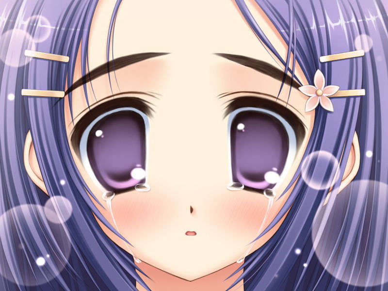 (18禁ゲームCG) [070323] ちょこす～メイドさんのご奉仕 10730/11327 