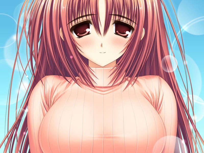 (18禁ゲームCG) [070323] ちょこす～メイドさんのご奉仕 10758/11327 