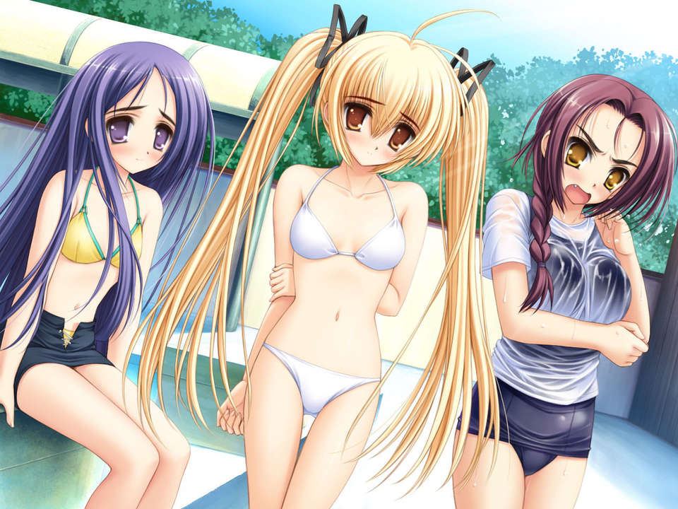 (18禁ゲームCG) [070323] ちょこす～メイドさんのご奉仕 10816/11327 