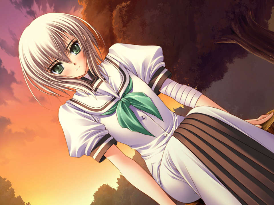 (18禁ゲームCG) [070323] ちょこす～メイドさんのご奉仕 10886/11327 