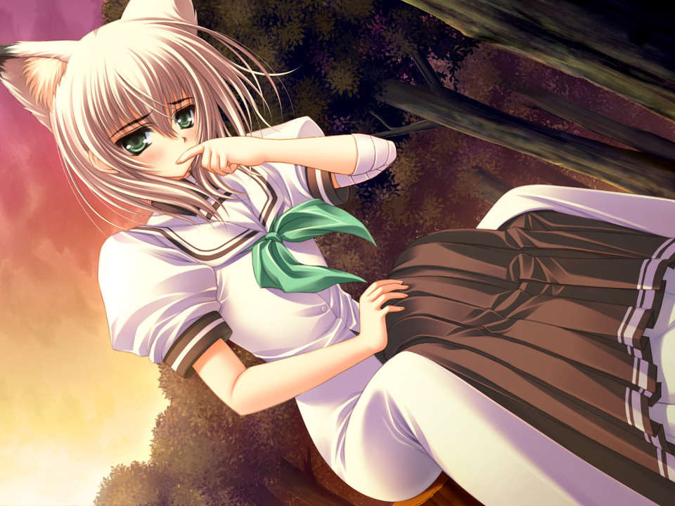 (18禁ゲームCG) [070323] ちょこす～メイドさんのご奉仕 10895/11327 