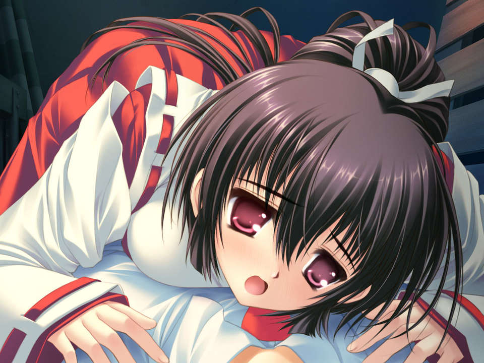 (18禁ゲームCG) [070323] ちょこす～メイドさんのご奉仕 10928/11327 