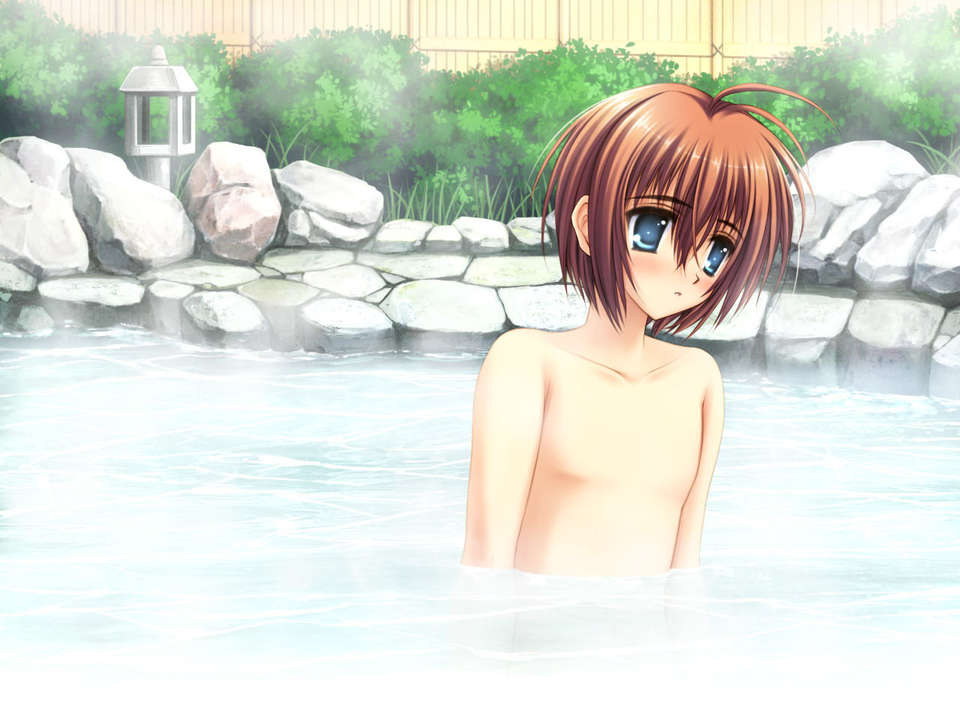 (18禁ゲームCG) [070323] ちょこす～メイドさんのご奉仕 10932/11327 