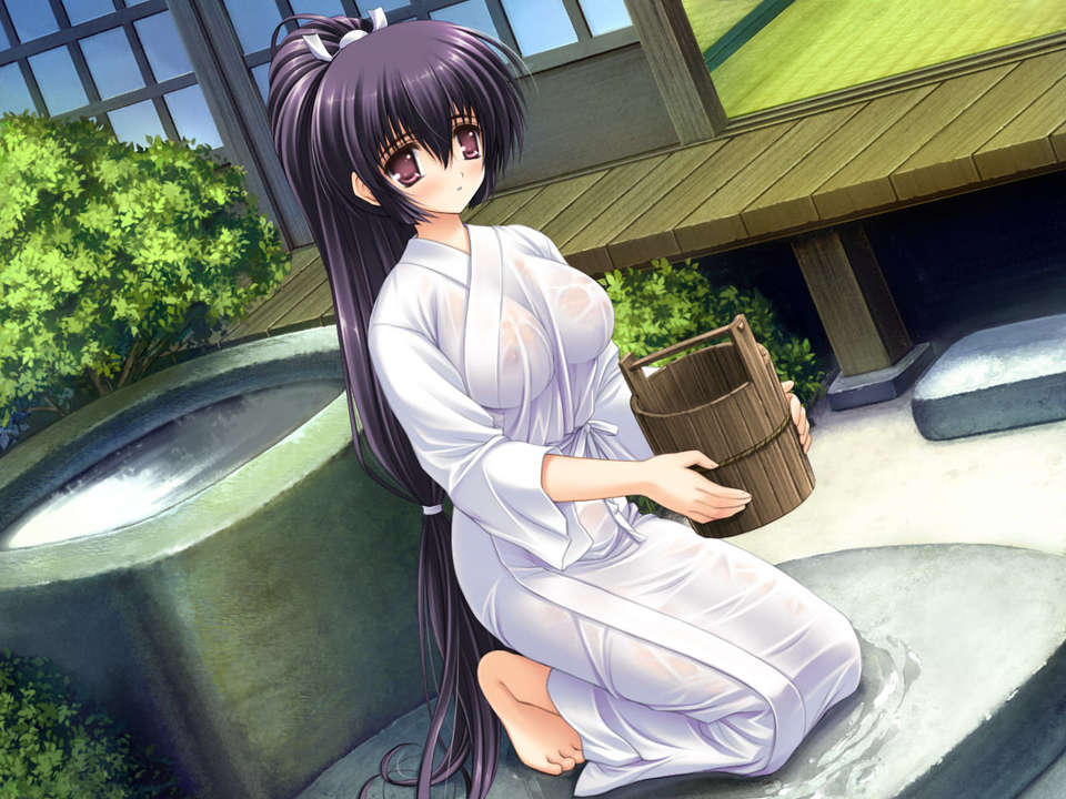 (18禁ゲームCG) [070323] ちょこす～メイドさんのご奉仕 10949/11327 