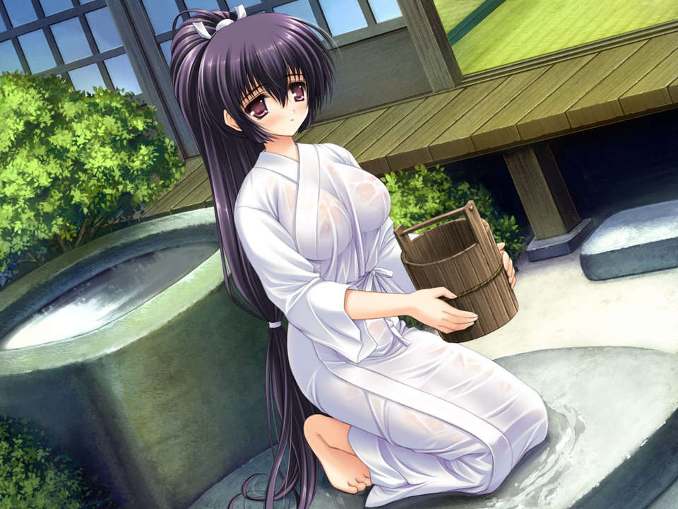 (18禁ゲームCG) [070323] ちょこす～メイドさんのご奉仕 10950/11327 