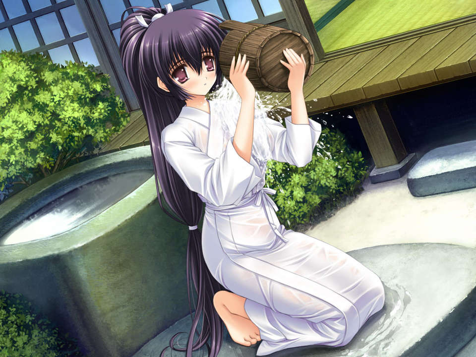 (18禁ゲームCG) [070323] ちょこす～メイドさんのご奉仕 10951/11327 