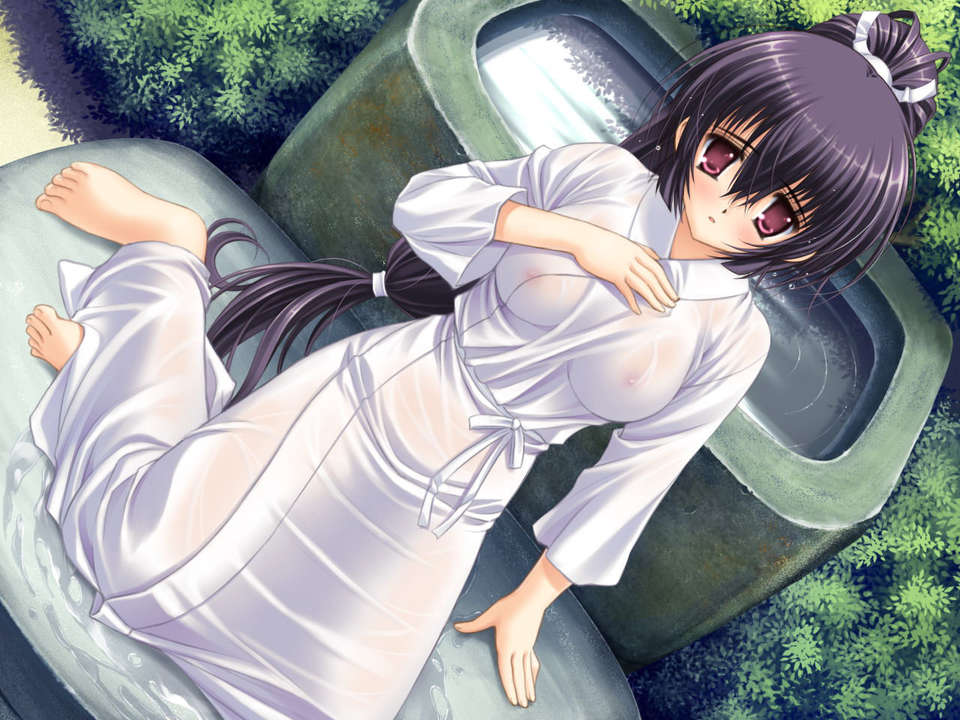 (18禁ゲームCG) [070323] ちょこす～メイドさんのご奉仕 10954/11327 