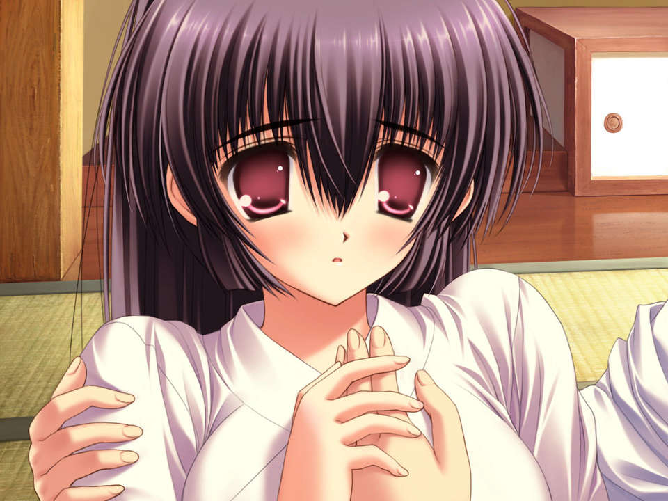 (18禁ゲームCG) [070323] ちょこす～メイドさんのご奉仕 10962/11327 