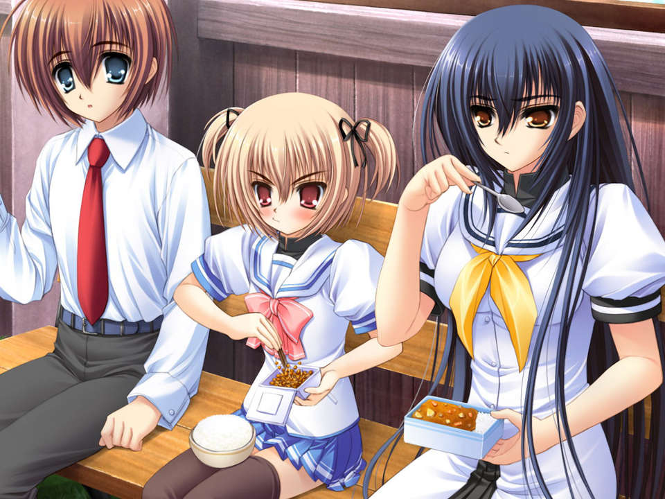 (18禁ゲームCG) [070323] ちょこす～メイドさんのご奉仕 10979/11327 