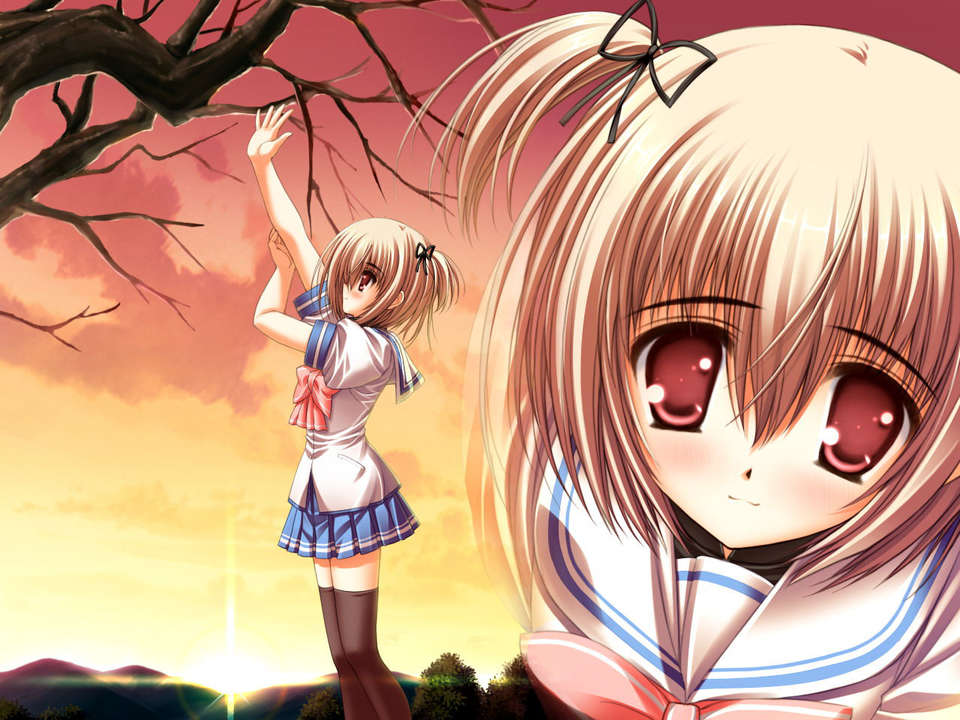 (18禁ゲームCG) [070323] ちょこす～メイドさんのご奉仕 10981/11327 