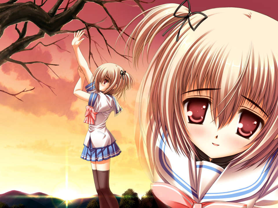 (18禁ゲームCG) [070323] ちょこす～メイドさんのご奉仕 10982/11327 