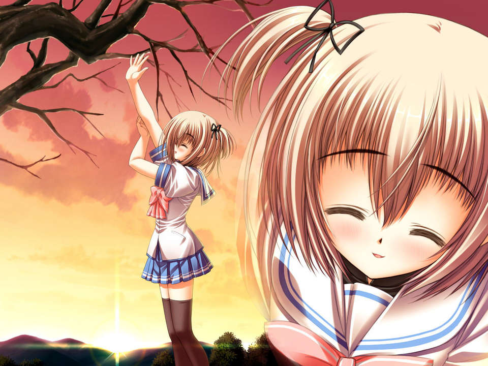 (18禁ゲームCG) [070323] ちょこす～メイドさんのご奉仕 10983/11327 