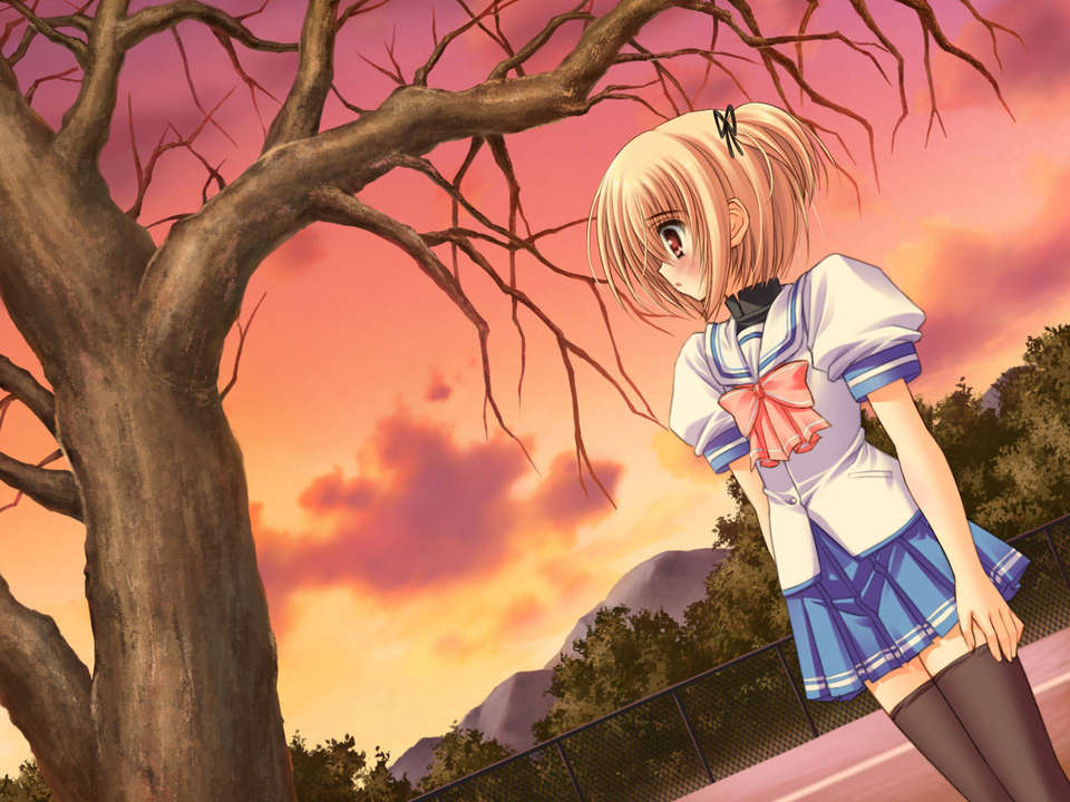 (18禁ゲームCG) [070323] ちょこす～メイドさんのご奉仕 10992/11327 