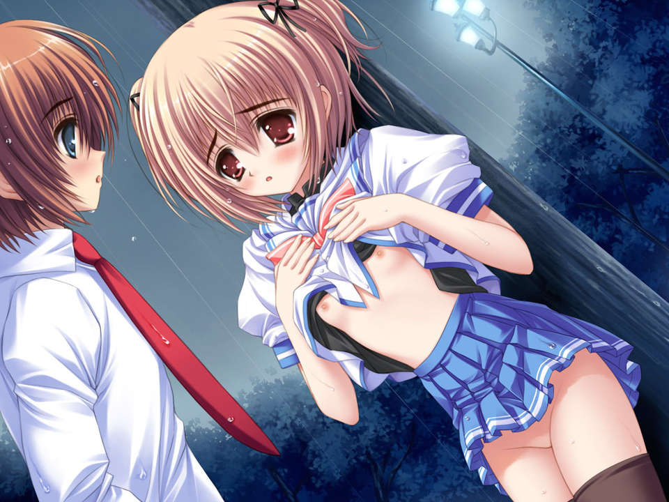 (18禁ゲームCG) [070323] ちょこす～メイドさんのご奉仕 10996/11327 