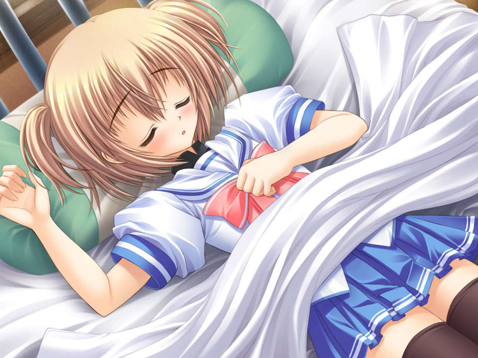 (18禁ゲームCG) [070323] ちょこす～メイドさんのご奉仕 11035/11327 