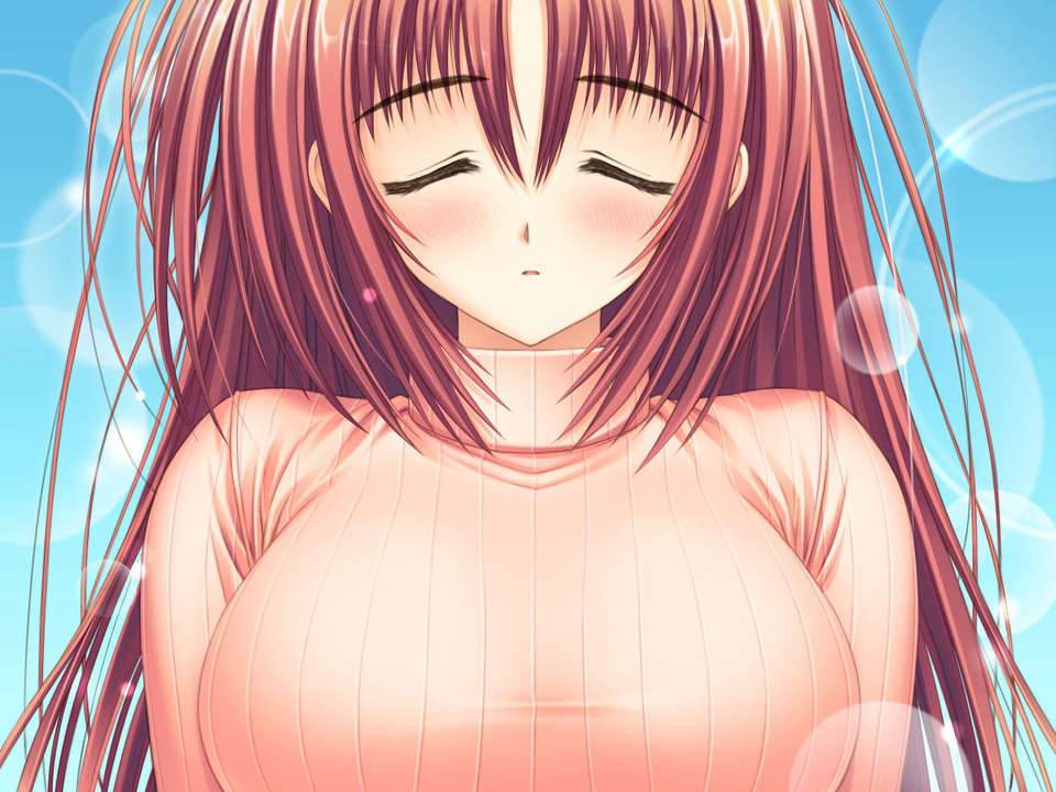 (18禁ゲームCG) [070323] ちょこす～メイドさんのご奉仕 11112/11327 