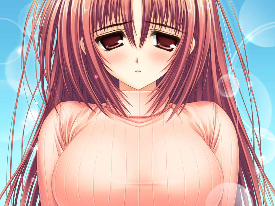 (18禁ゲームCG) [070323] ちょこす～メイドさんのご奉仕 11115/11327 