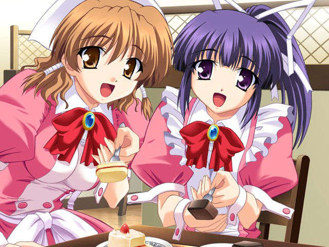 (HCG)[040213]ドキドキしすたぁパラダイス+DVD-ROM 152/339 
