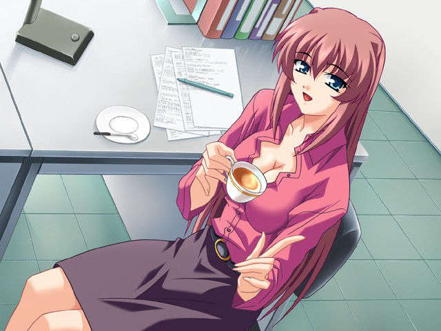 (HCG)[040213]ドキドキしすたぁパラダイス+DVD-ROM 170/339 