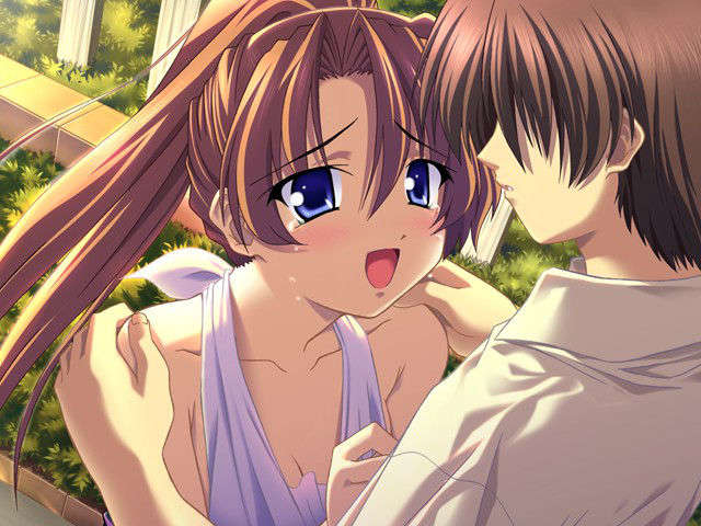 (HCG)[040213]ドキドキしすたぁパラダイス+DVD-ROM 231/339 
