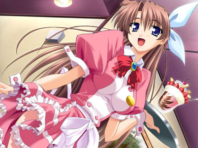 (HCG)[040213]ドキドキしすたぁパラダイス+DVD-ROM 236/339 